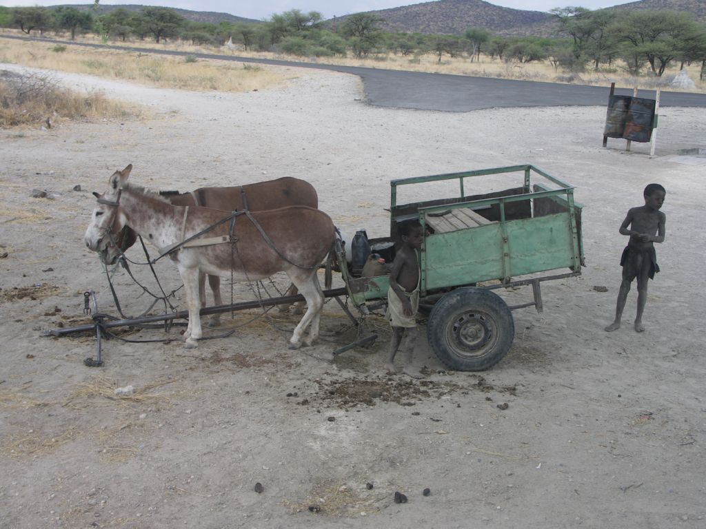 namibia uis